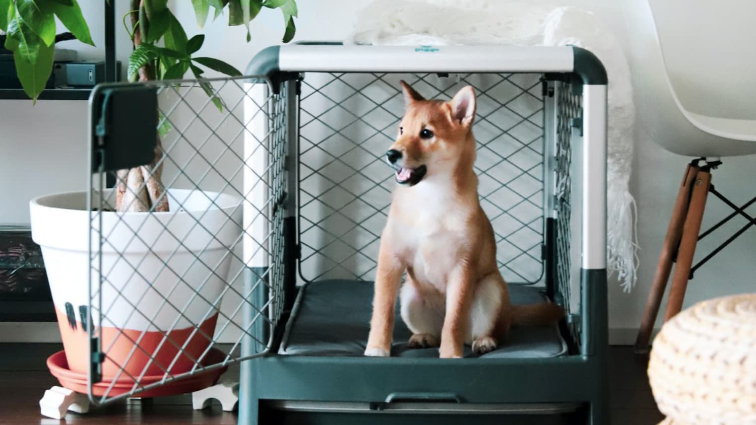 Best crate discount for shiba inu